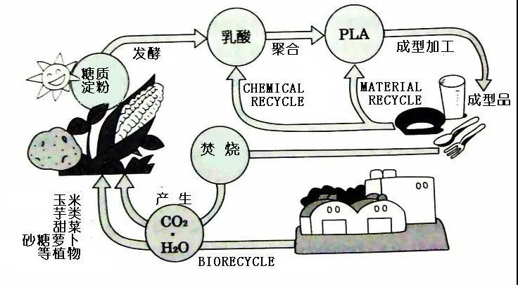 可生物降解環(huán)保塑料可以回收再利用嗎？(圖4)