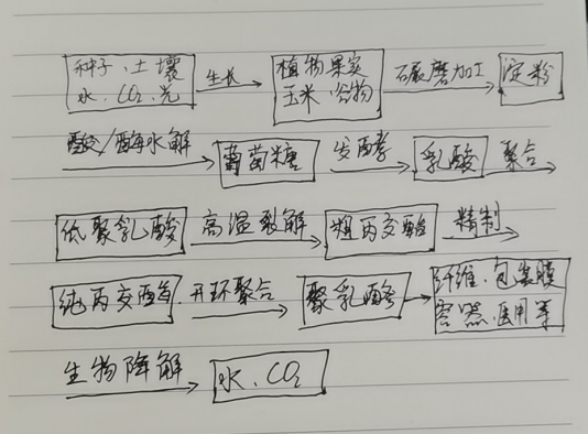 生物降解袋中的PLA是如何制得的？(圖1)