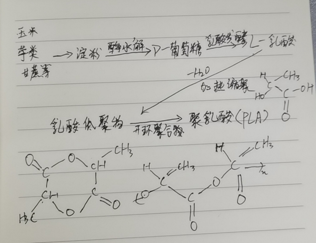 生物降解袋中的PLA是如何制得的？(圖2)