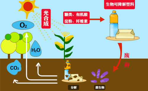 知名廠家?guī)銇?lái)看可降解包裝袋的市場(chǎng)優(yōu)勢(shì)(圖1)